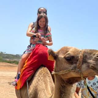 Day trip from Marbella to Tangier