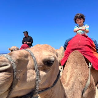 Day trip from Malaga to Tangier